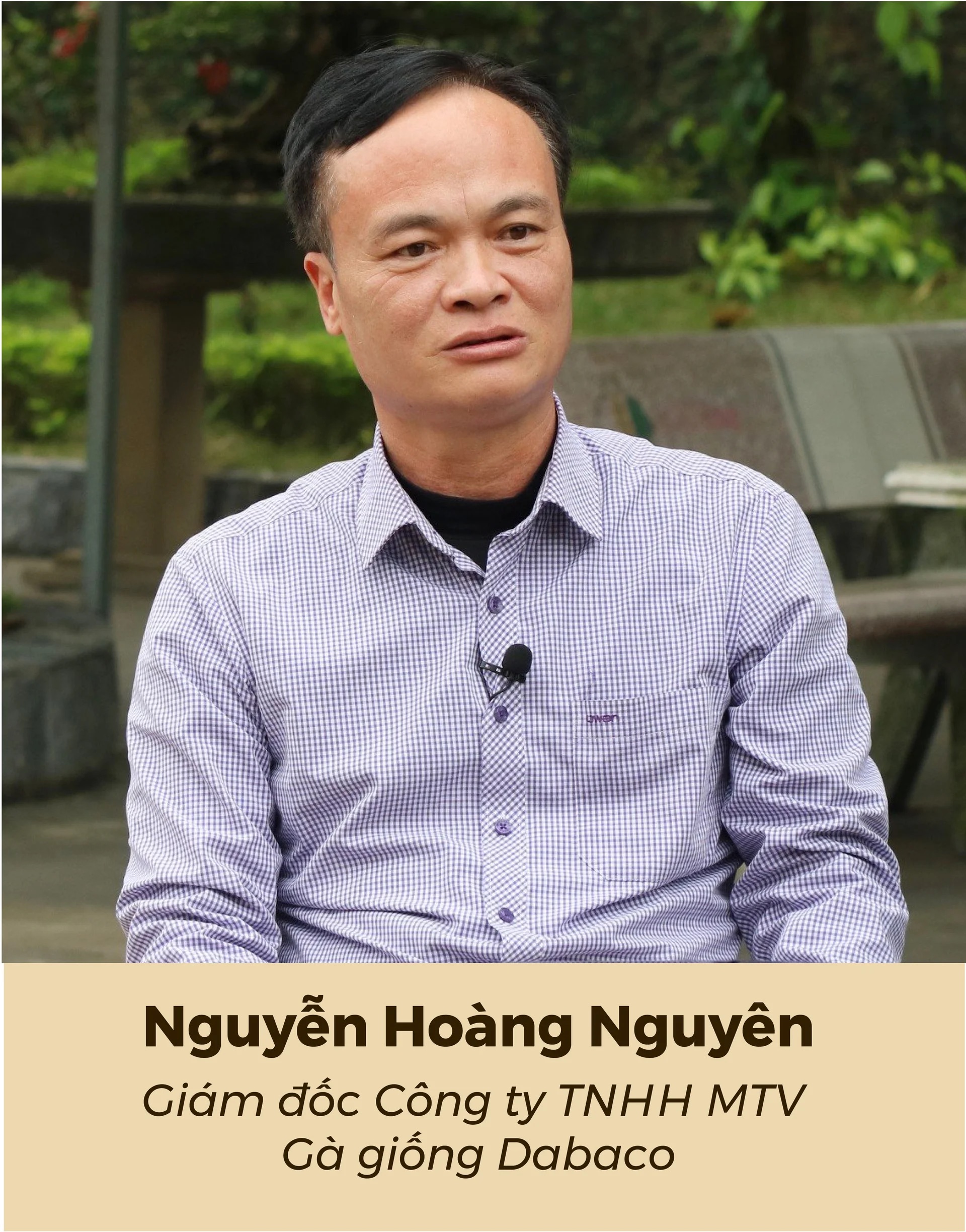 Cách đây hơn thập kỷ, Công ty TNHH MTV Gà giống Dabaco tiên phong tiến hành chọn lọc, phục tráng, nhân thuần một số giống gà nội có nhiều ưu điểm vượt trội.  Kết quả, đến nay đã cải thiện rõ rệt về mặt năng suất, tỷ lệ đẻ, chất lượng thịt, trọng lượng, sản lượng trứng, đặc biệt là giống gà Mía số 1-Dabaco.  Ông Nguyễn Hoàng Nguyên, Giám đốc Công ty TNHH MTV Gà giống Dabaco chia sẻ với Báo Nông nghiệp Việt Nam xu thế phát triển chăn nuôi hàng hóa quy mô lớn, chất lượng cao với các giống gà lông màu tại Việt Nam qua câu chuyện con gà Mía số 1-Dabaco.