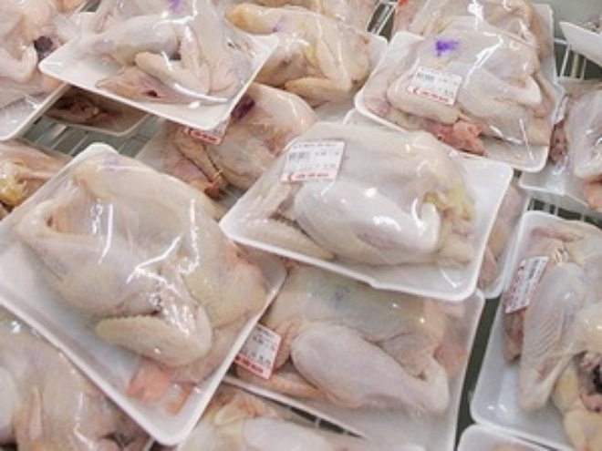 Nghịch lý giá gà công nghiệp