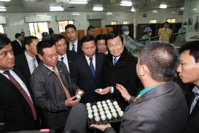 Tháng ba, về Dabaco!