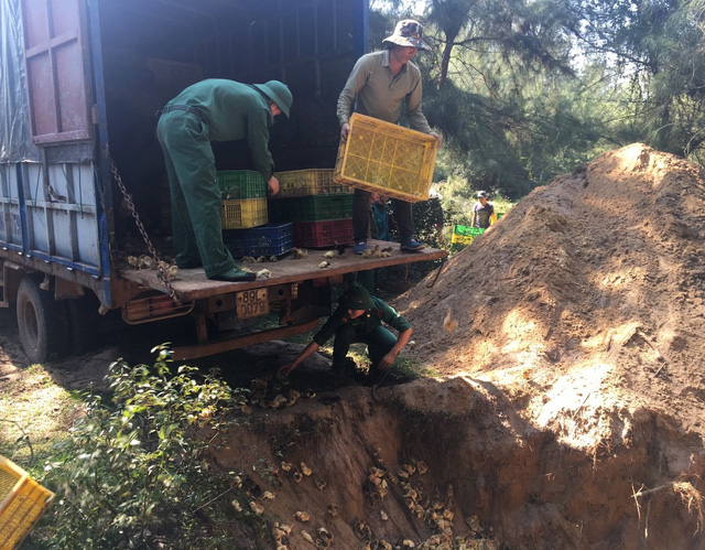 ​Bắt thuyền chở 50.000 gà giống từ Trung Quốc về Việt Nam
