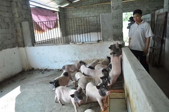 Từ câu chuyện nhiễm sán dây lợn tại trường mầm non Bắc Ninh đến quan niệm sai lầm về thực phẩm sạch